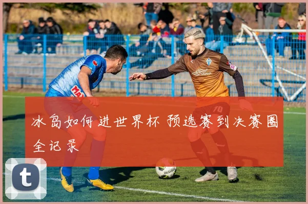 冰岛如何进世界杯 预选赛到决赛圈全记录