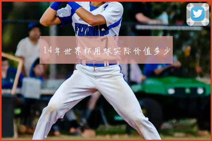 14年世界杯用球实际价值多少