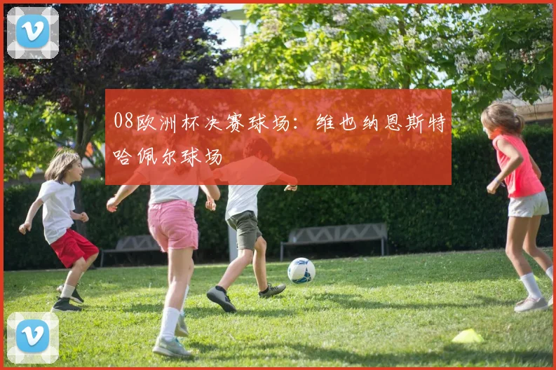 08欧洲杯决赛球场:维也纳恩斯特哈佩尔球场