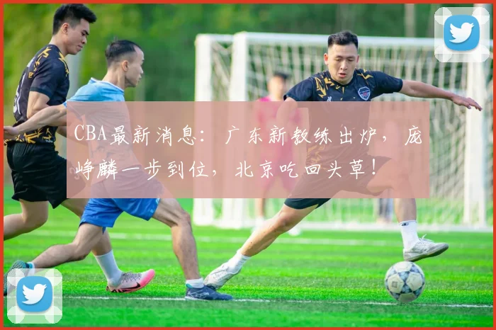 CBA最新消息:广东新教练出炉,庞峥麟一步到位,北京吃回头草!