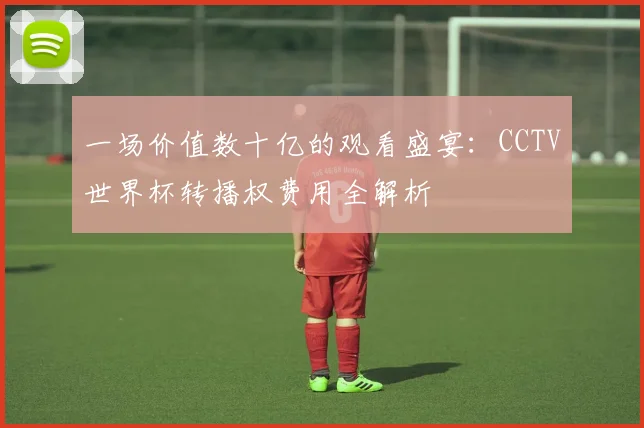 一场价值数十亿的观看盛宴：CCTV世界杯转播权费用全解析