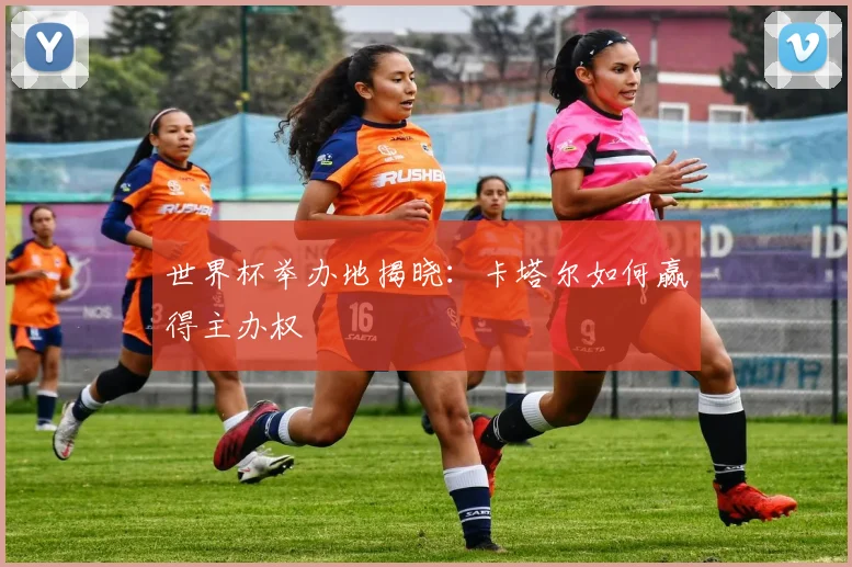 世界杯举办地揭晓:卡塔尔如何赢得主办权