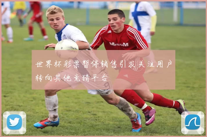 世界杯彩票暂停销售引发关注用户转向其他竞猜平台