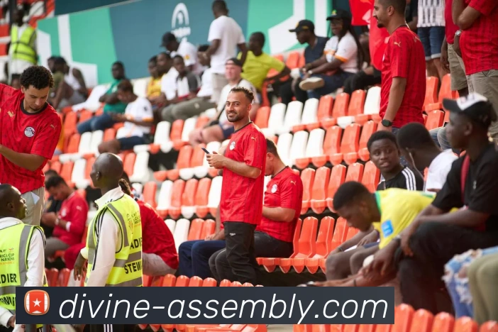 奖项证书